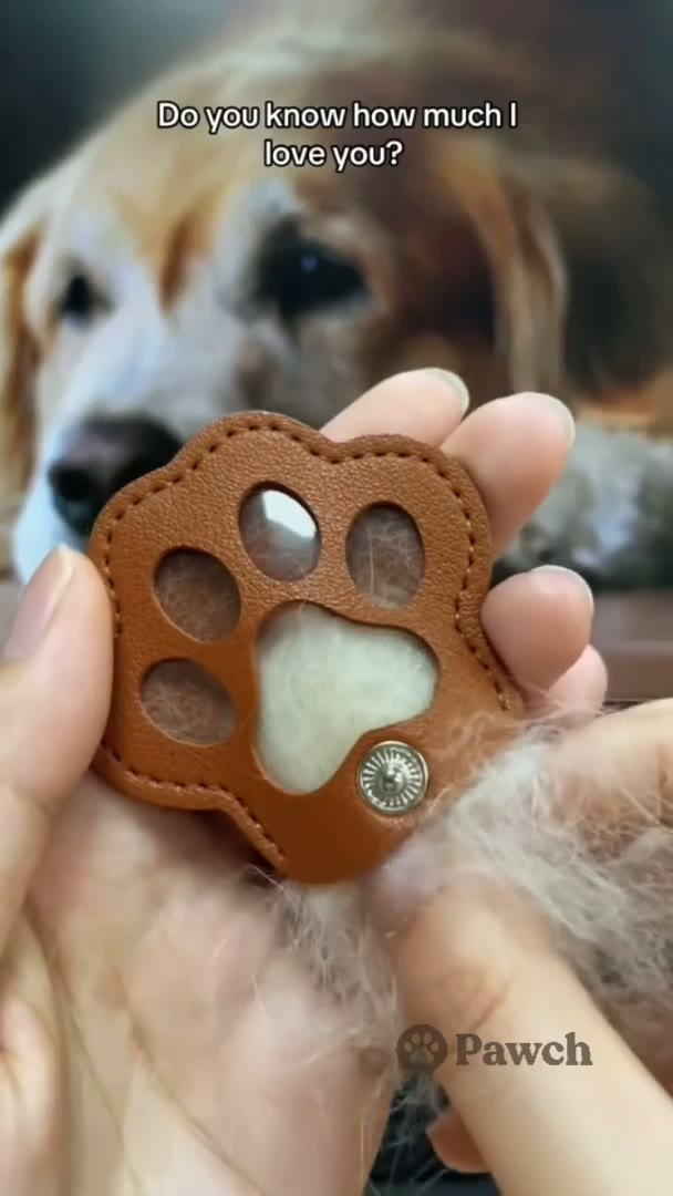 Video breve che mostra come sistemare una ciocca di pelo dentro il Pawch